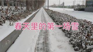 2024年烟台开发区春天里的第一场雪，您那里下雪了吗