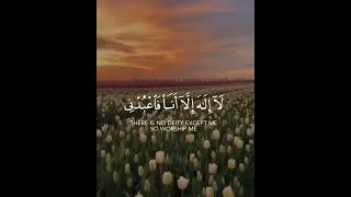 Most Beautiful Quranic Recitation by Ahmad Khedr. #shorts #whatsappstatus #deen #muslim #status