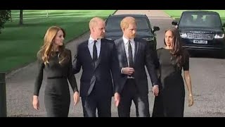 William e Kate, Harry e Meghan: tutti insieme dopo la mo.rte della Regina Elisabetta