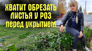 НЕ ОБРЕЗАЙТЕ ЛИСТЬЯ У РОЗ! Не совершайте ОШИБКУ!