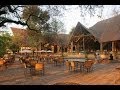 Hotel Report: Chobe Safari Lodge