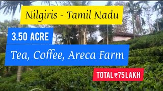 3.50 Acre Tea Coffee Peppr Farm House For Sale | Nilgiris | Tamil Nadu (75 Lakh)