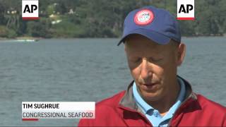 Blue catfish are overwhelming the natural ecosystem in the Chesapeake Bay, home to Maryland's famous