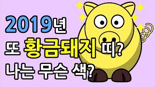 2019년은 황금 돼지띠? 또??