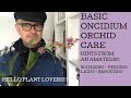 Basic Oncidium Orchid Care!