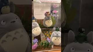 Totoro Gacha Toy!!! #totoro #ghibli #tonarinototoro