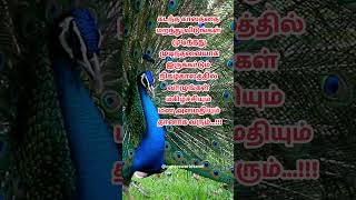 #bestquotestamil | #tamilquotes | #buddhaquotestamil | #shorts #lifequotestamil | #trending #tamil