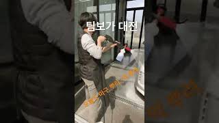 #Shorts 팀보가 대전의 토요일 상황  프리미엄 디테일링 손세차에 아낌없는 폼 융단폭격