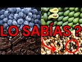 CONOCES  las CURIOSIDADES de estos ALIMENTOS SALUDABLES