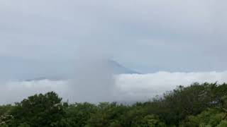 霧が晴れ、雲海と富士山が見えた金時山（2023年7月5日）