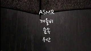 겨울비 숲속 우산 소리 ASMR / 자연의 소리 /빗소리