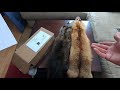 shipping furs to moyle mink u0026 tannery tanningfur moyleminkandtannery