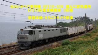 カシオペア色 EF510-509 盛んに貨物運用　EF510形電気機関車　三形態色走る！　信越本線・えちごトキめき鉄道　　光panasd 233