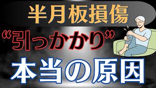 【膝から音!?】半月板損傷　特徴的な症状”引っかかり”