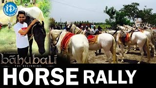 Bahubali 50 Horses Ready for Road Rally At Bhimavaram