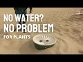 Now we can grow plants even in DESERT !! | Groasis technology