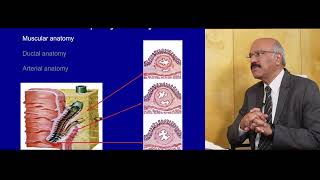 ERCP basics part 1