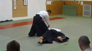 Gollob Szabolcs - Aikido seminar - Oyo henka waza (applied techniques and atemi waza)