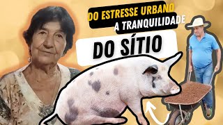 Do Estresse Urbano à Tranquilidade do Sítio |Simplão de tudo