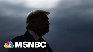 Harry Reid: GOP Is Party Of Goofballs Under Trump’s Influence | The 11th Hour | MSNBC