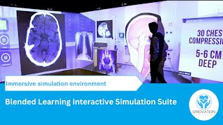 Immersive simulation environment