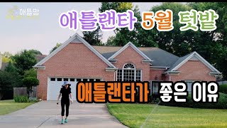 [미국일상] 애틀랜타 5월 텃밭. 한국과 비슷한 4계절 애틀랜타 날씨. 이민 오길 잘했다 생각되는 날.