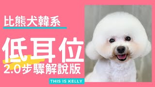 比熊犬的韓風低耳位造型 - 2.0步驟解說版(請打開字幕觀看)｜凱莉老師 Groomer Kelly｜寵物美容教學｜Bichon Frise Pet Grooming