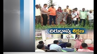 Vizianagaram's Agriculture Research Station | Provides Help in Yielding Millets