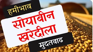 Soybean msp Procurement : सोयाबीन हमीभाव खरेदीला मुदतवाढ