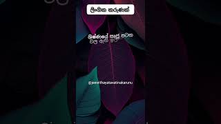 හම්බෝ දන්නවද වෙනදේ😐 #shorts   #education