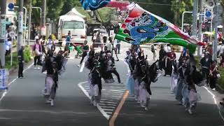 妃龍〔彩夏祭１日　朝霞の森１回目　20240803〕