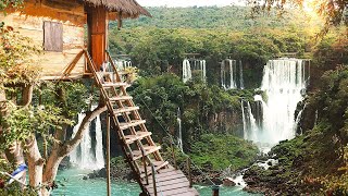 Cozy Tree house Waterfall view in Summer Day Ambience: Water & Tropical Nature Sounds for Relaxation
