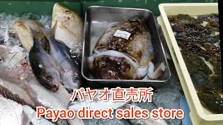 【沖縄観光】沖縄市漁業協同組合パヤオ直売店/【Okinawa sightseeing】Okinawa City  Phayao Direct Sales Store/ Dec 2020