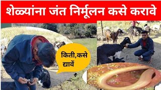 शेळ्यांना जंत निर्मूलन कसे करावे (goat farming d warming)