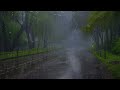 goodbye tiredness to sleep quickly with heavy rain on the beautiful road in the foggy forest