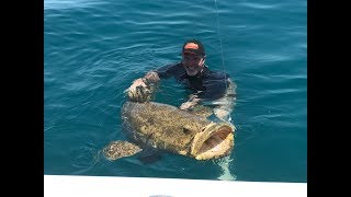 Trophy Fish Hunter Episode 7 - 500 pound Goliath Grouper