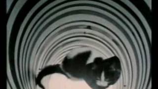 Colin Blakemore does terrible things to kittehz. For science!