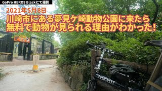 【GoProHERO9 Blackにて撮影】川崎市にある夢見ケ崎動物公園に来たら無料で動物が見られる理由がわかった！