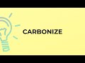 What is the meaning of the word CARBONIZE?