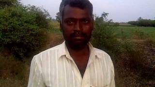 Maharashtra farmer speaks on how he has gained by using Bt Cotton