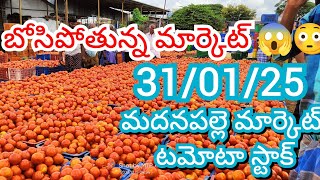 31-01-25 Madanapalle Tomato Market price Today || Today Tomato Market Rate in Madanapalle #today