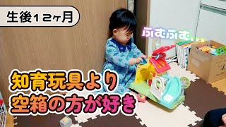 【生後366日目】サンリオとフィッシャープライスのコラボ知育玩具「バイリンガル森のおしゃべりハウス」【1歳0ヶ月】