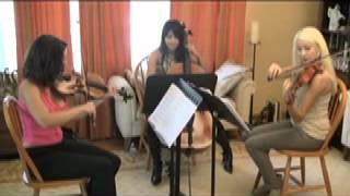 Los Angeles String Trio- Here Comes the Sun- Classical Wedding Musicians