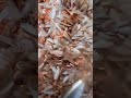 termites winged termites ചിതൽ ചിറകുവച്ചു ഈയലായി വരുന്ന കാഴ്ച foodchat malayalam