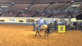 2013 AQHA World Champion SR Heeling Two ID Shooter Buck