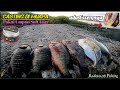 Fishing for casting mangrove red snapper at the estuary