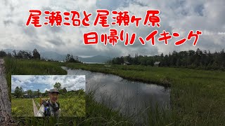 【尾瀬国立公園】大清水登山口から鳩待峠へ日帰り通り抜け　尾瀬日記　ozediary