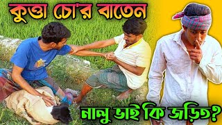 নয়নের কু*কুরের ব্যবসা বাতেন শুরু করছে! নালু ভাইও কি জড়িত? | Bangla Funny Video | Hello Noyon