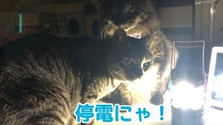 外は大荒れ！停電中の寒い朝。