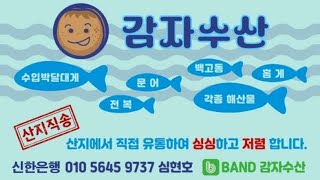 후포리 대게 \u0026 동해안 소라 팝니다.동해시 감자수산